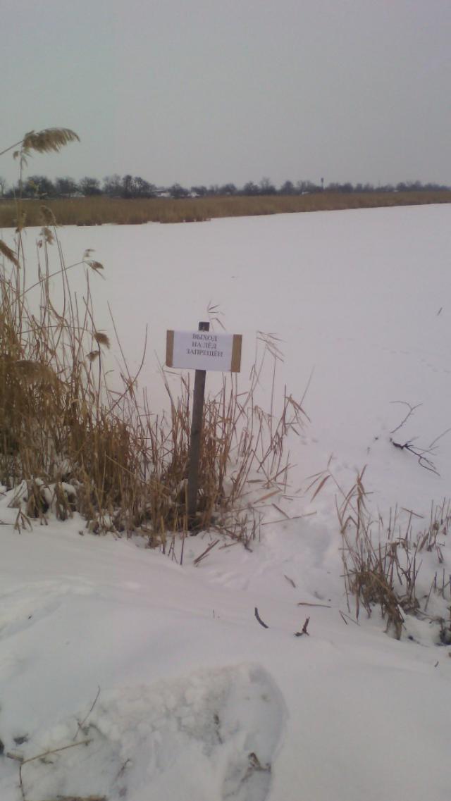 IMG 20170131 131947-576x1024