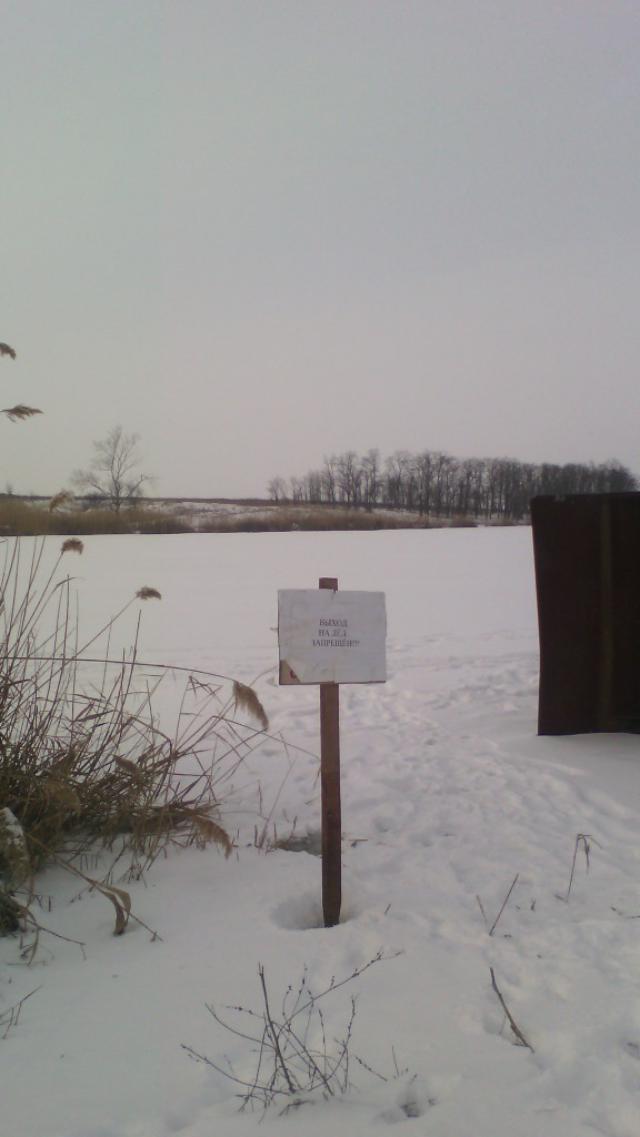 IMG 20170131 1326331-576x1024