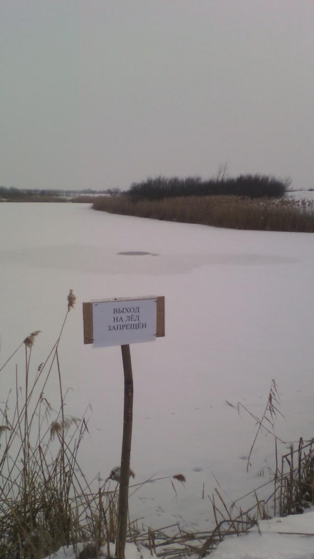 IMG 20170131 134222-576x1024