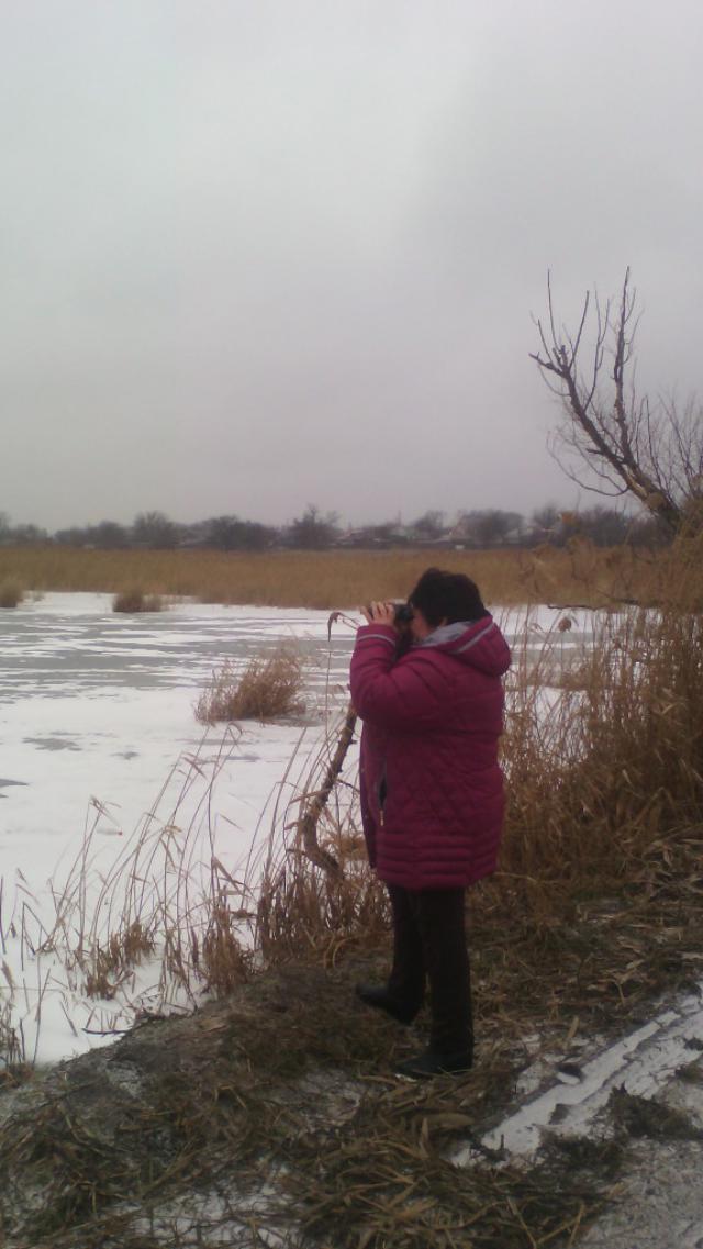 IMG 20170207 124723-576x1024