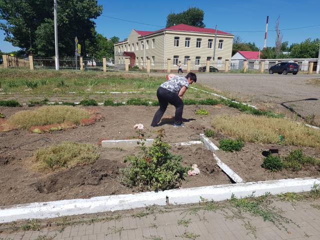 Погода село горькая балка ставропольский